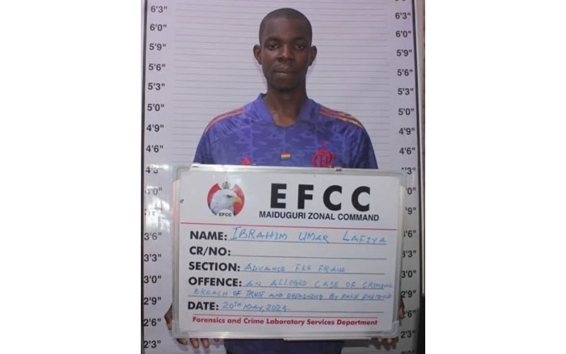 EFCC Arraigns Maize Processing Executive for Alleged N21.5million Fraud in Damaturu