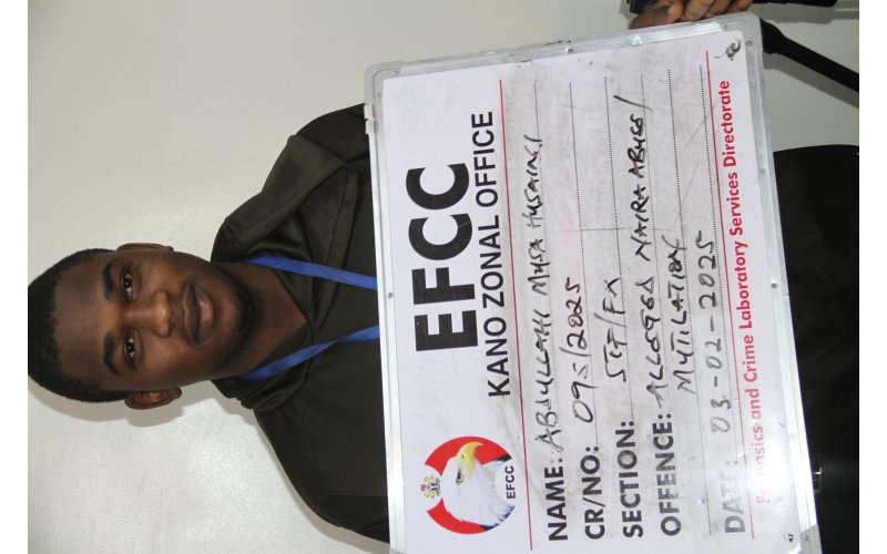 Kano Court Jails Make-up Artist for Naira Abuse  