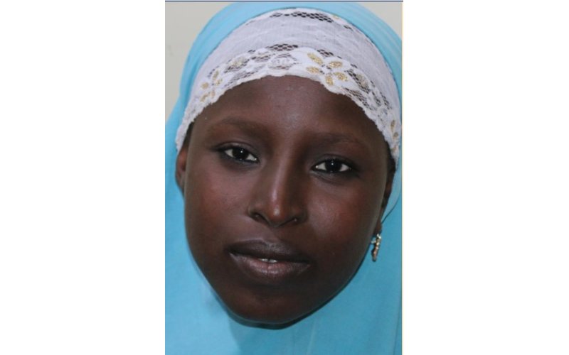 Court Jails Woman for N1.3m Fraud in Maiduguri   