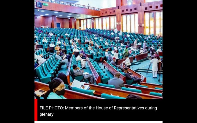 Reps Demand Rescue Of 200 Abducted Borno Women