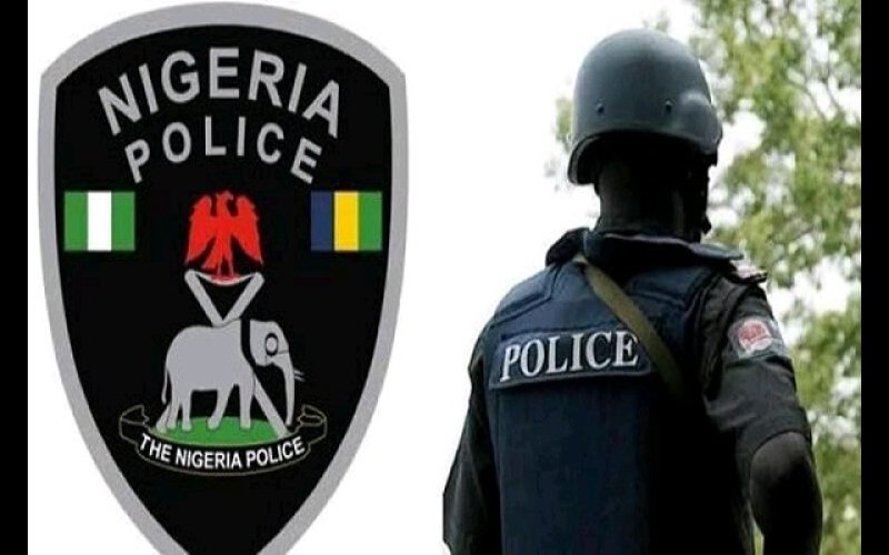 Governors Slowing Down Take-Off Of State Police - FG