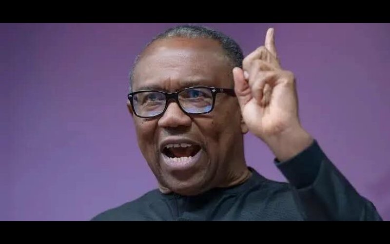 Why I Ignored Labour Party National Convention — Peter Obi