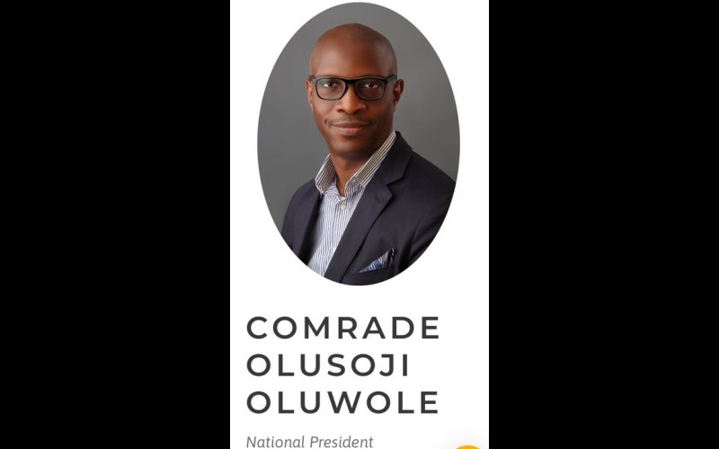 Job losses imminent as banks recapitalize