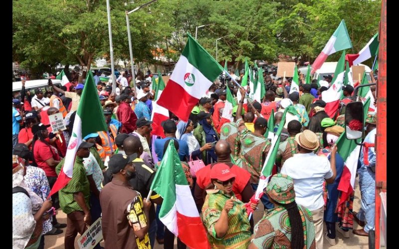 Tariff Protest: Don’t Derail Our Electricity Sector Plans, Adelabu Begs Labour