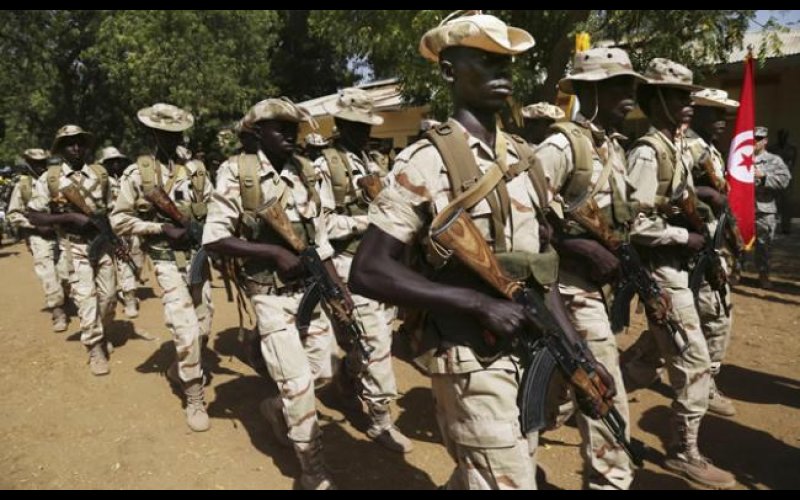 Chadian Military Kills 70 Boko Haram Terrorists, Destroys 5 Major Camps