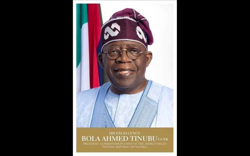 Tinubu appoints heads of NLTF, NDE, NIHSA, PenCom, others 
