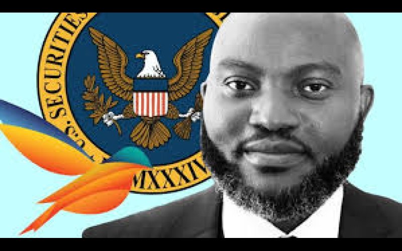 Fintech Chief, Dozy Mmobuosi Fined $250 Million For Fraud In The US