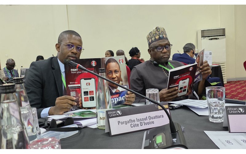 Africa’s Asset Recovery Forum Seeks Action against Stolen Assets