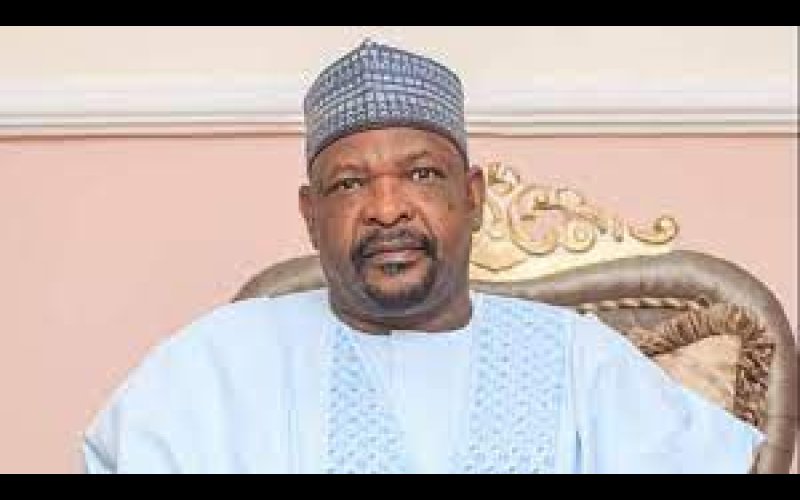 Senate suspends Ningi over budget padding allegation