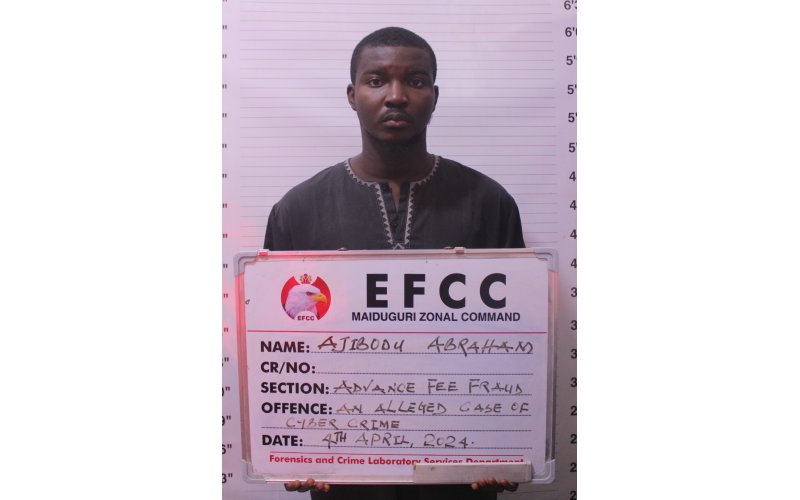 Court Jails One for N10m Internet Fraud in Maiduguri