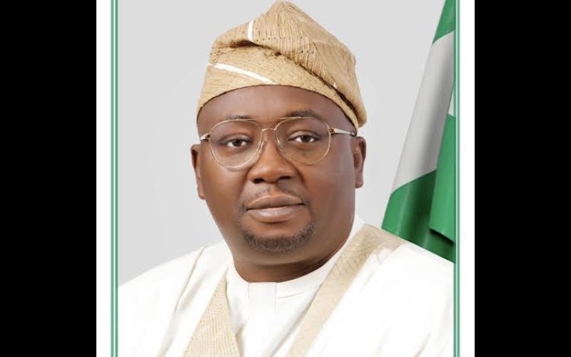 Nigeria Cannot Sustain Electricity Subsidy, GenCos Are Being Owed N1.3 Trillion, Says Power Minister Adelabu