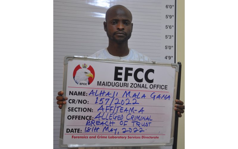 Court  Jails Businessman  Three Years for N2.3m Fraud in Maiduguri