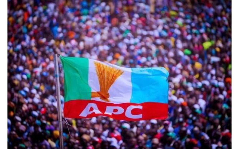 Guber Primary Election: APC goes rogue as materials, party officials are unavailable, yet results keep popping up on social media