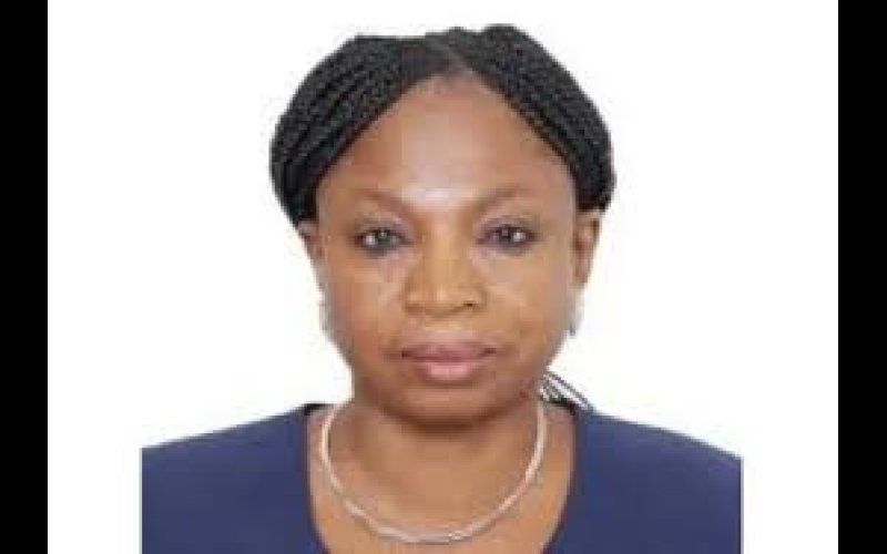 Tinubu appoints Adekaiyaoja as first female deputy DG of DSS