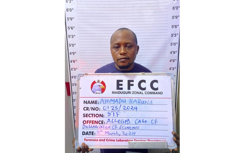 Court Jails Two for Operating BDC without Licence in Damaturu