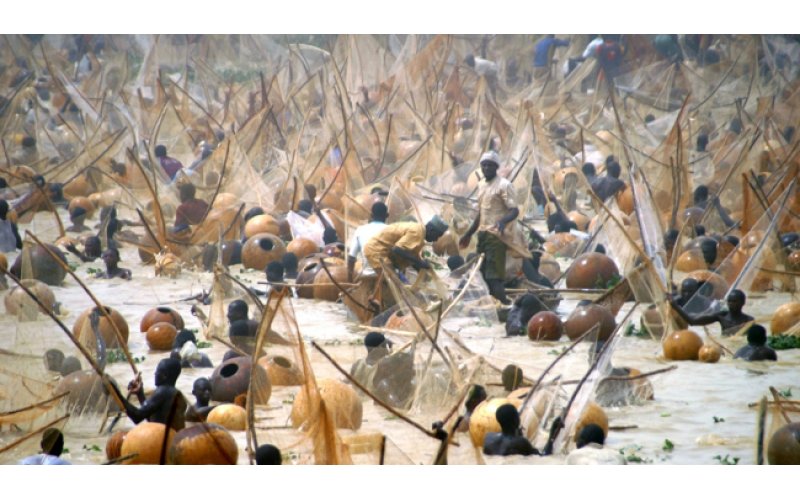 Kebbi Announces February Dates for Argungu International Fishing Festival