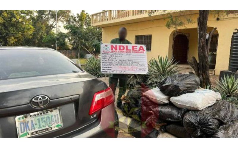 Troops Intercept Major Drug Courier, Recover 108kg of Cannabis in Kogi — Nigerian Army