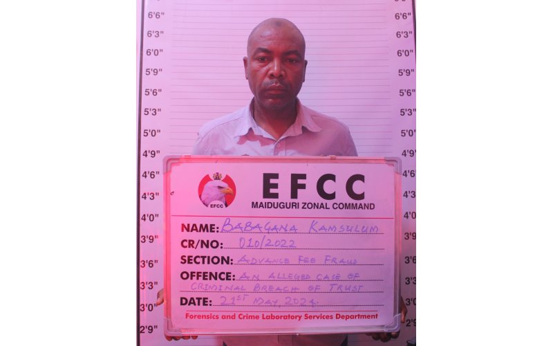 Court Jails Businessman for N2m Contract Scam in Maiduguri