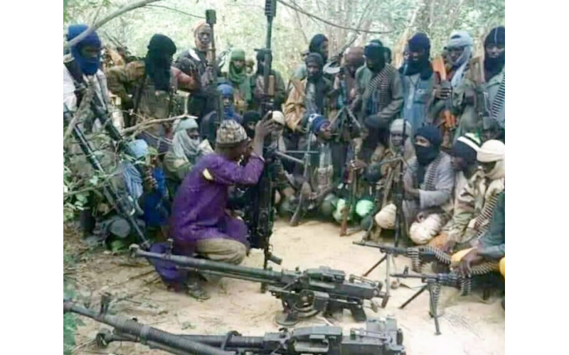 CJTF Claims It Can End Banditry in Nigeria Within a Year With Government Support