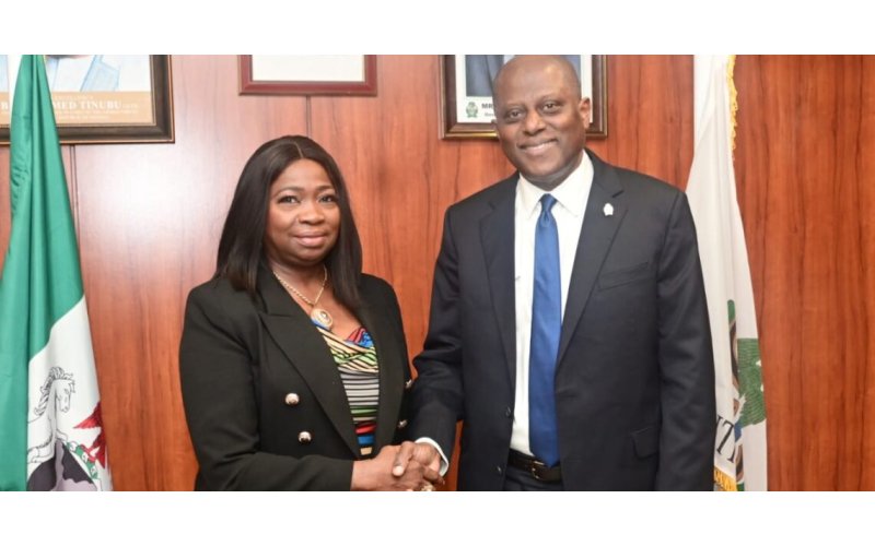 NIDCOM Credits CBN Reforms for Surge in Diaspora Remittances