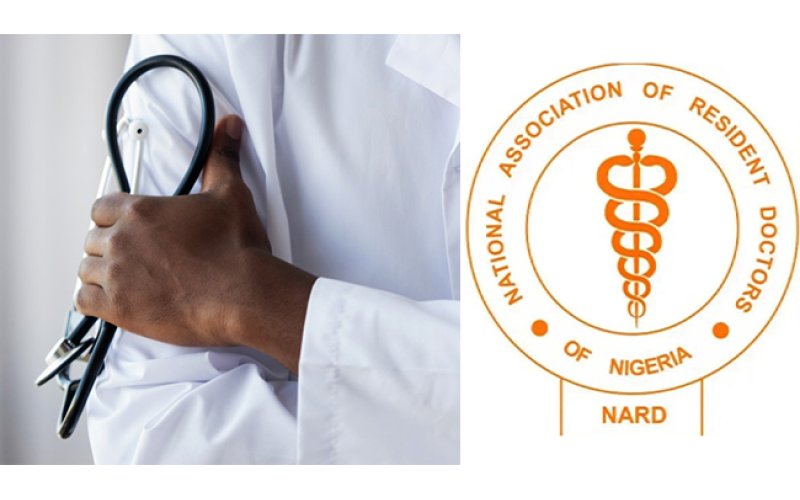 NARD Extends Strike Suspension by Four Weeks After FG Talks