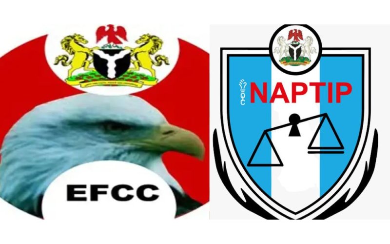 EFCC,  NAPTIP Join Forces against Money Laundering