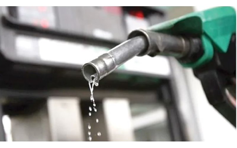 IEA Announces Record 400 Million Barrel Oil Release to Ease Middle East Supply Crisis