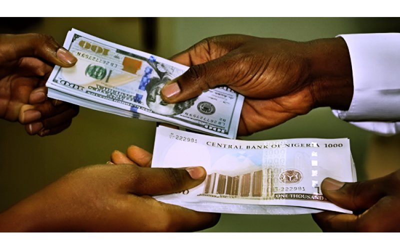Naira Gains Against Dollar as Global Trends Support Currency Rally
