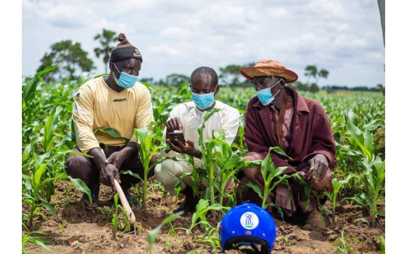 Nigeria’s Babban Gona Secures $7.5m from British Investment Bank to Boost Smallholder Farming