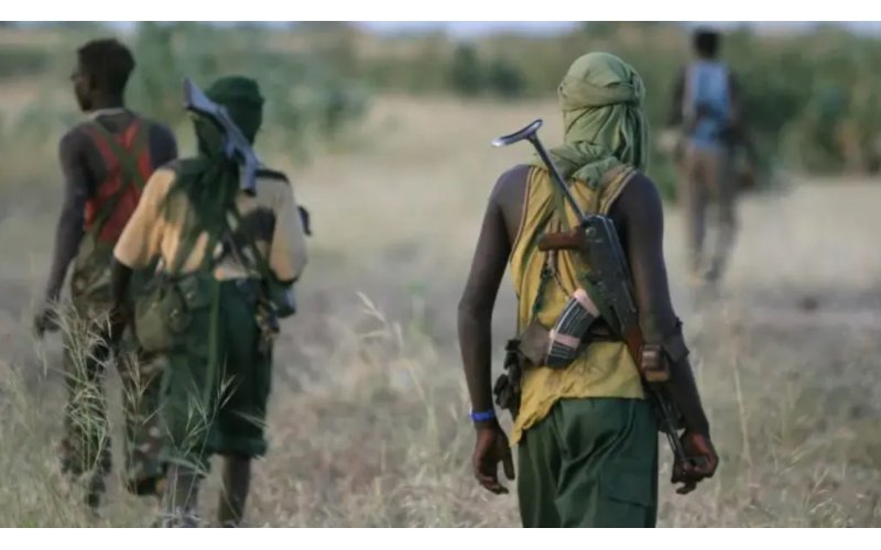 Benue Violence: 23 Killed in Fresh Attacks Across Four LGAs