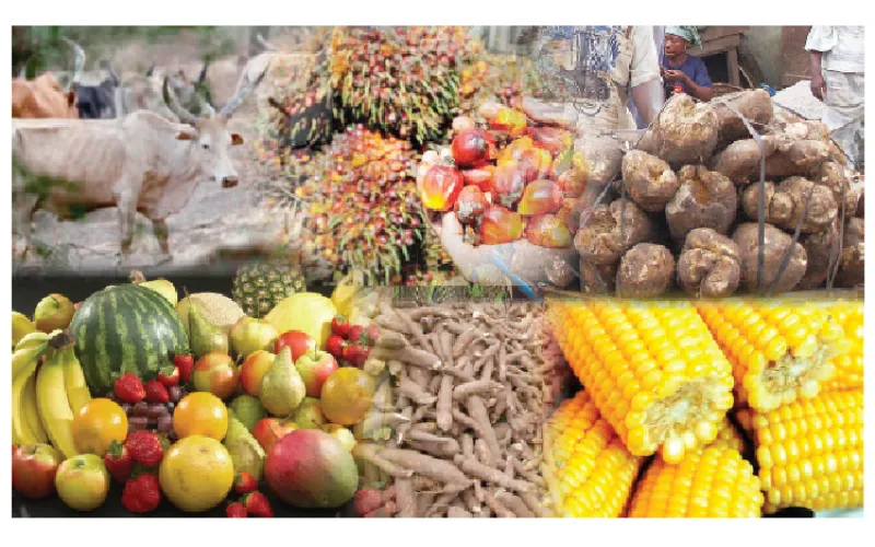 FCCPC Warns Nigerians Against Consumption of Chemically Ripened Fruits