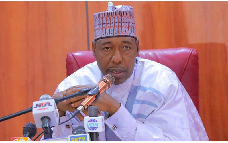 Tension in APC as Zulum leads protest over Shettima’s exclusion in Tinubu’s 2027 endorsement