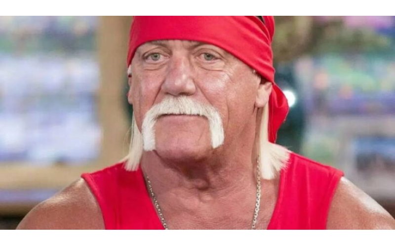 Wrestling Icon Hulk Hogan Dies at 71 After Cardiac Arrest