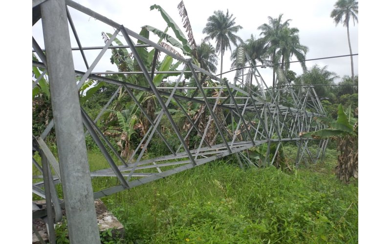 Bayelsa Gov Expresses Concern Over Power Outage 