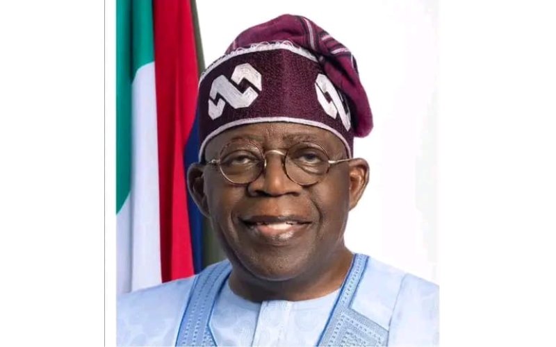 Economy My Priority Now, Tinubu Tells Anyaoku, Others Seeking New Constitution