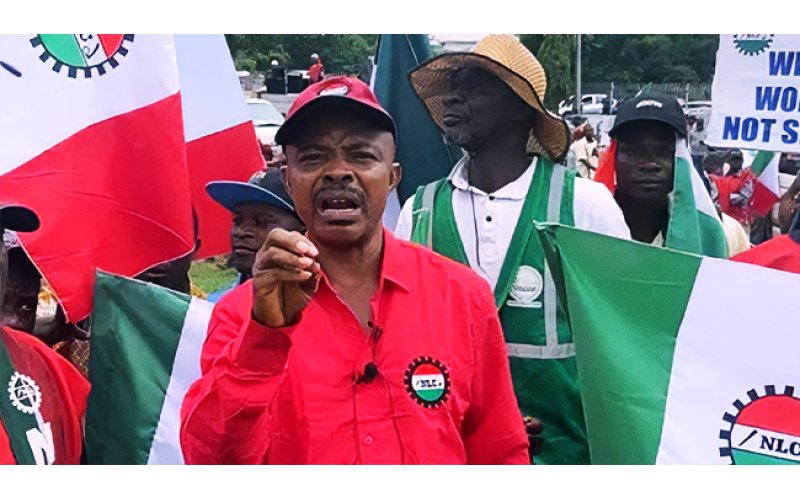 NLC Slams Vice President Shettima Over Dangote Refinery Remark, Says No Company Is Above the Law