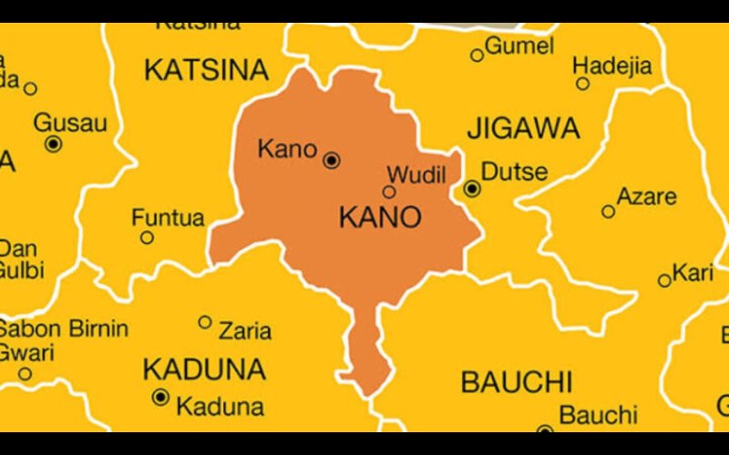 Stop going to the South to hunt, Rep member tell northerners