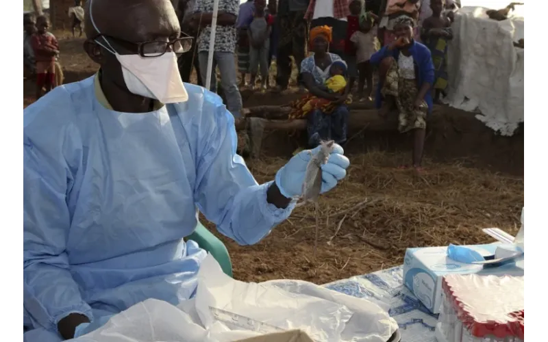 Lassa Fever Death Toll Hits 204 in Nigeria as Case Fatality Rate Rises to 25.7%