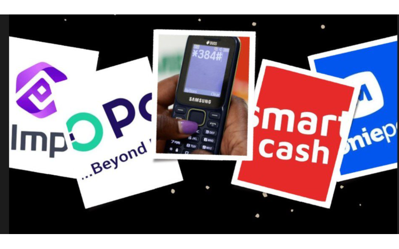 CBN Upgrades Fintechs and Microfinance Banks to National Licenses