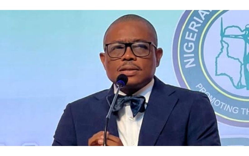 Defamation Not A Crime In Lagos: NBA Demands Immediate Release Of Farotimi, Investigation Into Law Firm Invasion