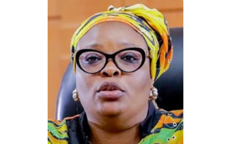 Lagos Speaker, Meranda, Announces Four Standing Committee Chairmen