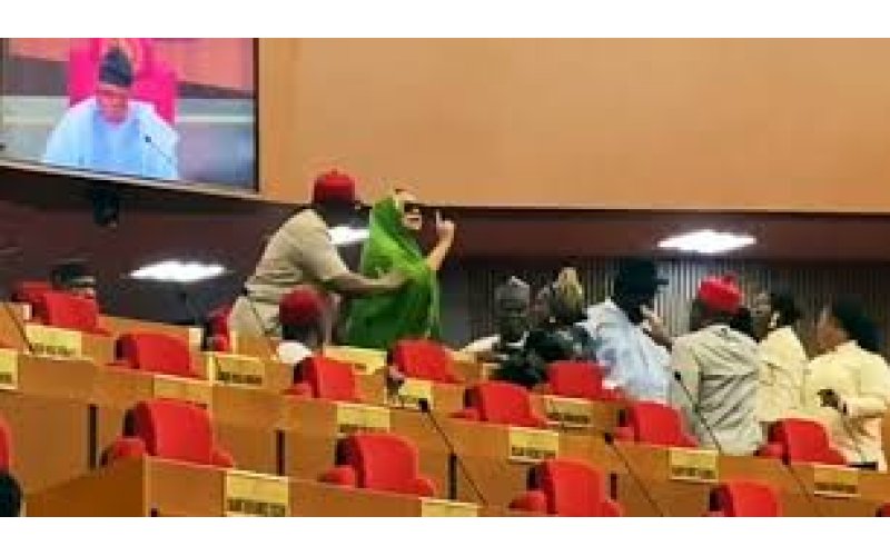 Natasha vs Akpabio: Kogi Central Senator’s Recall Process Suffers Setback