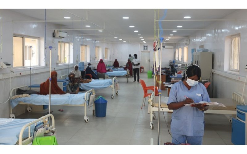 Nigerian Thoracic Society Urges FG to Increase Health Funding, Upgrade Respiratory Care Infrastructure
