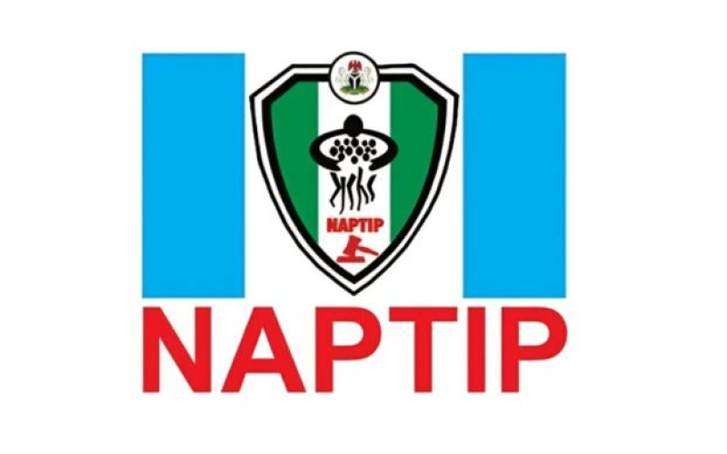 NAPTIP Arrests Three Over Alleged Attempt to Traffic Employer’s Two-Year-Old Child in Cross River