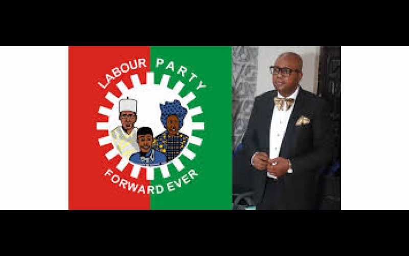 If Elections Were To Hold Today Again, LP Would Win, LP Can Win 2027 Poll Without Merger – Obiora Ifoh