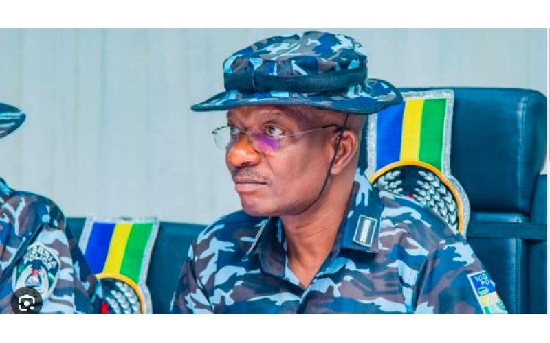 141 terror cases, 214 kidnappings recorded in eight weeks – IG