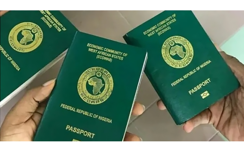 NIS to Replace Emergency Travel Certificate With Single Travel Emergency Passport