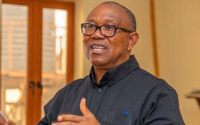Peter Obi Says Nigerians in South Africa Prefer Staying Abroad Despite Xenophobic Attacks