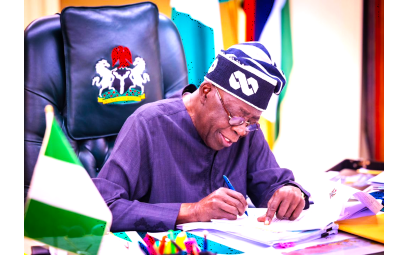 Appointments: Nigeria Belongs to All, Not Just the Yoruba – Arewa Group Blasts Tinubu