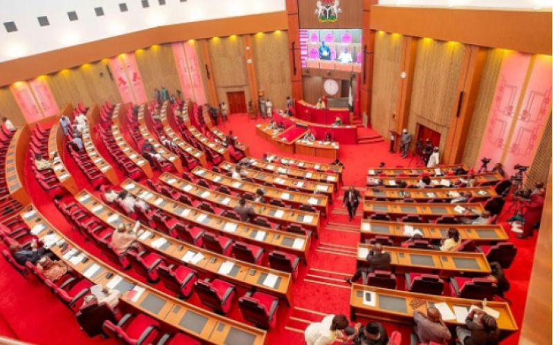 Senate Seeks Stronger Laws to Regulate Fintechs, Crack Down on Ponzi Schemes